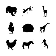 icon Animal with ant, start, logo, zoo and isolated