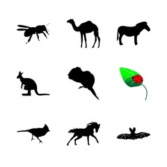 icon Animal with race, running, evil, bee and cave