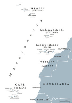 Macaronesia political map. Azores, Cape Verde, Madeira, Canary Islands. Collection of archipelagos in the Atlantic Ocean off the coast of Africa. English labeling. Gray illustration over white. Vector