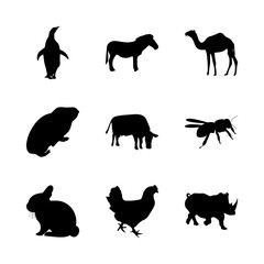 icon Animal with cock, pose, farming, background and ponny