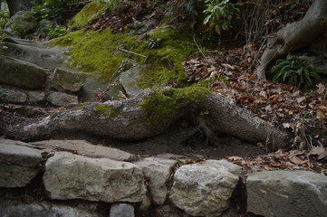 paesaggi e natura 