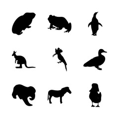 icon Animal with zoo, logo, isolated, trunk and ice
