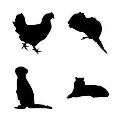 icon Animal with jungle, logo, nature, farm and animals