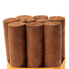 Cigars in white background