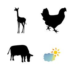 icon Animal with animals, cow, nature, cartoon and bull