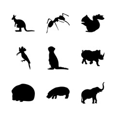 icon Animal with elephant, horned, eagle, colony and fly