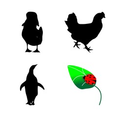 icon Animal with isolated, egg, bird, desing and cock