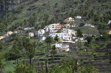 Fototapeta na wymiar Terrassenfelder im Valle Gran Ray, Gomera