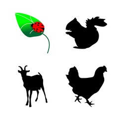 icon Animal with farm, black, hen, seo and egg