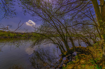 Obraz premium Frühling am Main