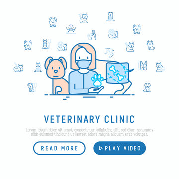 Veterinary clinic concept: dog with broken leg. Thin line icons: vaccination, injection, cardiology, cleaning of ears, teeth, shearing claws. Vector illustration, web page template.
