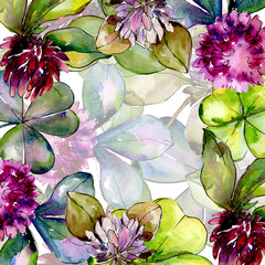 Wildflower clover. Floral botanical flower. Wild spring leaf wildflower frame. Aquarelle wildflower for background, texture, wrapper pattern, frame or border.