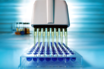 Multi channel pipette loading biological samples in microplate for test in the laboratory /...
