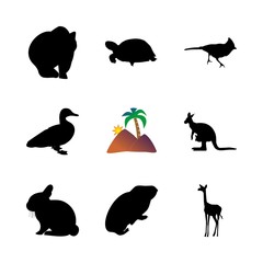 icon Animal with humor, cavy, zoo, modern and comic