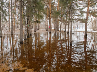 Омск, Россия - 10 апреля 2018: Паводок в Советском парке...