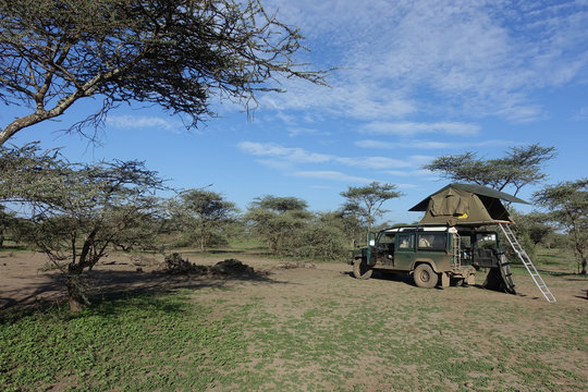 Fototapeta Campen im Serengeti Nationalpark, Tansania