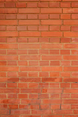 Brick wall as background.