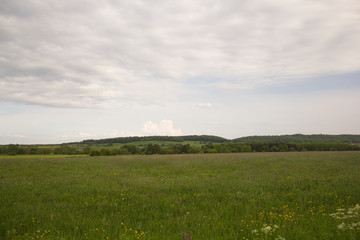 Landscape of a large green field