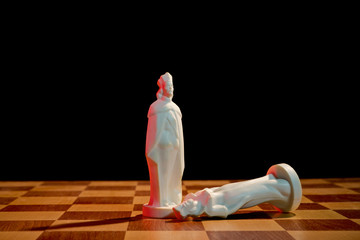 Chess photographed on a chessboard