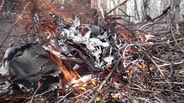 A brush made of branches and paper. Slow-motion shooting of 240 frames per second
