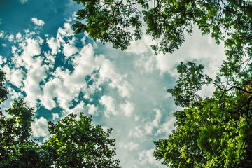 Blue Sky