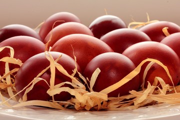 chicken eggs on the plate