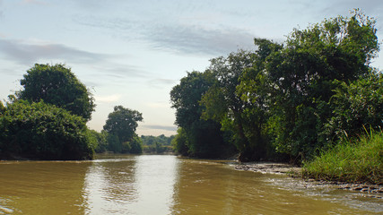 wild tonle sap