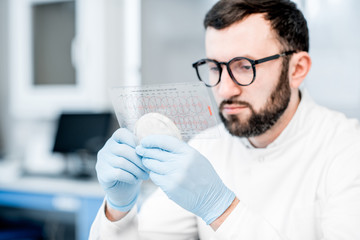 Male laboratory assistant working with bacteria in petri dish in the bacteriological department