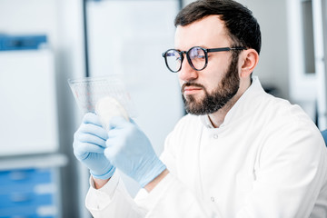 Male laboratory assistant working with bacteria in petri dish in the bacteriological department