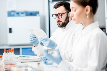 Fototapeta premium Couple of medics in uniform making bacteriological tests sitting in the modern laboratory