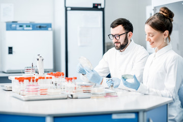 Couple of medics in uniform making bacteriological tests sitting in the modern laboratory