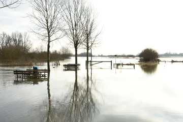 Fotobehang oevers van de rivier de IJssel overstroomd in verband met hoogwater © henkbouwers