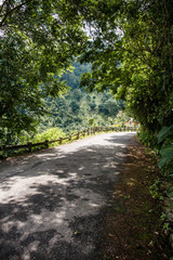 Blue mountains in der Karibik auf Jamaika
