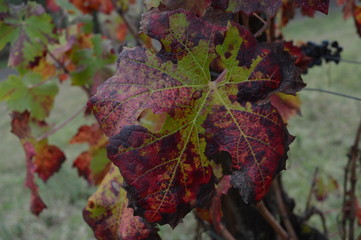 paesaggi e tramonti , nuvole 