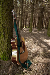 Guitare dans la forêt