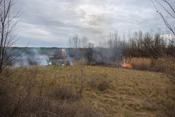 Fire in a field