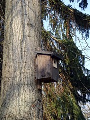 bird house on the tree