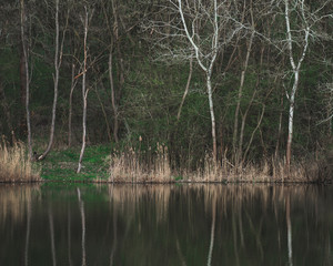 Beautiful lake and forest scenery, natural colours.