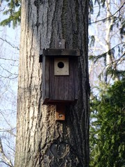 bird house on the tree