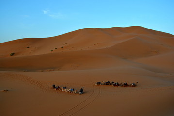 Fototapeta na wymiar Caravana en cdromedarios, desierto del Sahara, Marruecos