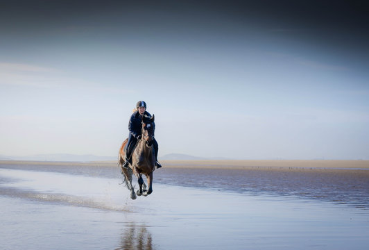 horse at beach