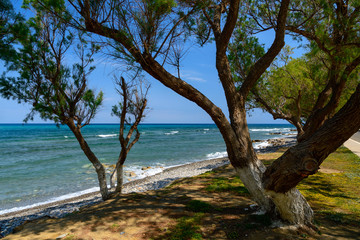 Fototapeta na wymiar stony coast on Crete, Greece