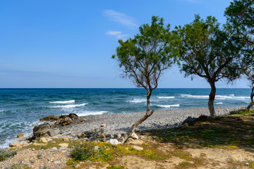 Fototapeta na wymiar stony coast on Crete, Greece