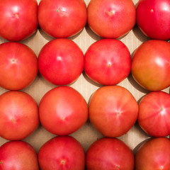 Fresh tomato in box.Organic fruit products concept