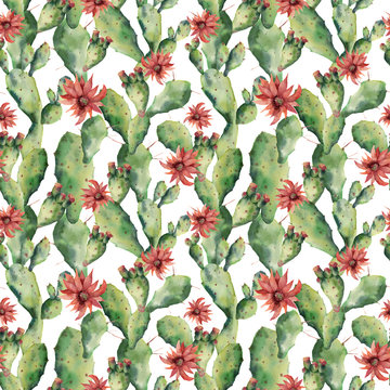 Watercolor seamless patttern with cactuses and flowers. Hand painted opuntia isolated on white background. Illustration for design, print, fabric or background.