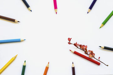 Colored pencils on white notebook, album background, red autumnal branch. Concept back to school. Space for text