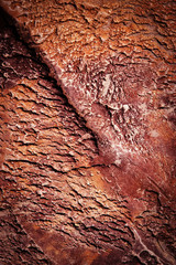 wrinkled surface of red stone