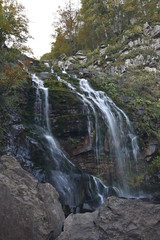 paesaggi   fiori e natura 