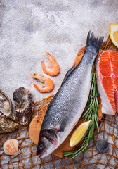 Seafood concept. Fish, shrimps and oysters.