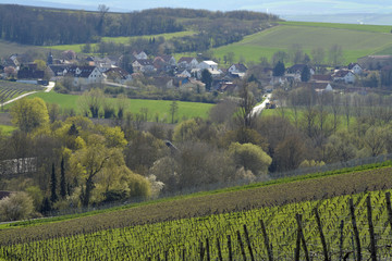Naklejka premium rommersheim in rheinhessen im frühling
